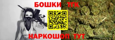 СК Дубна