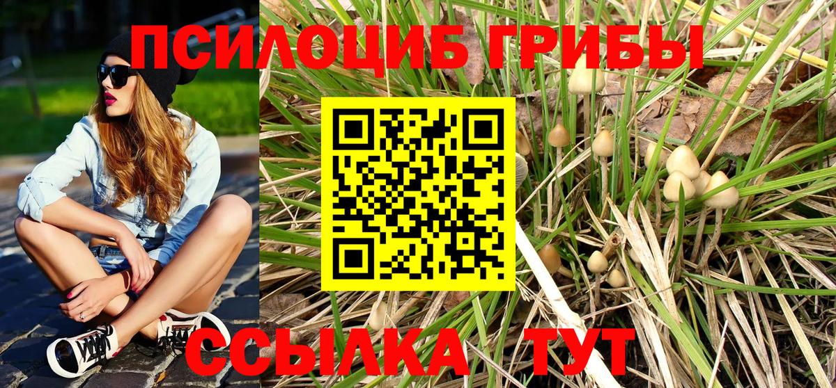Псилоцибиновые грибы прущие грибы Муром